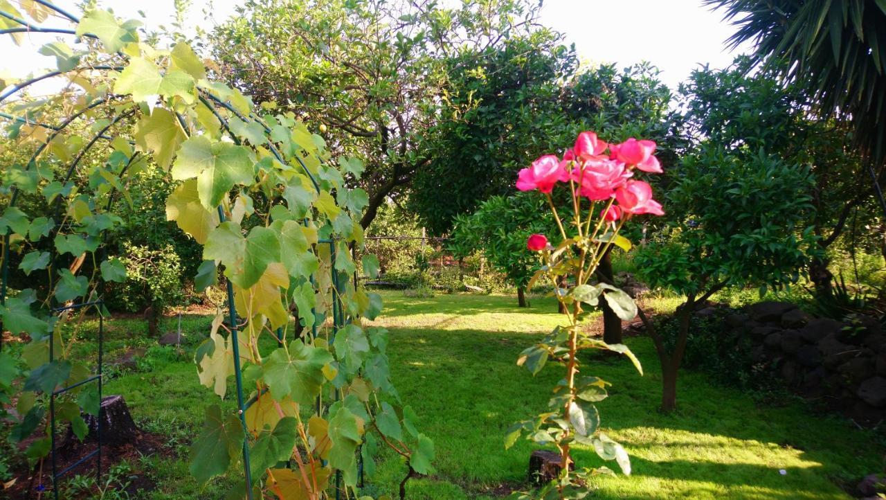 B&B Casanera Riposto Extérieur photo