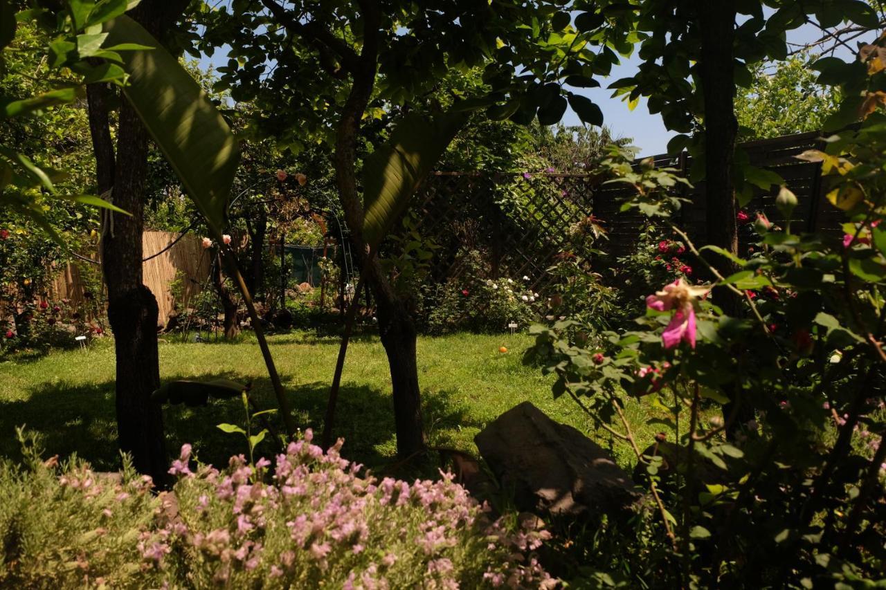 B&B Casanera Riposto Extérieur photo