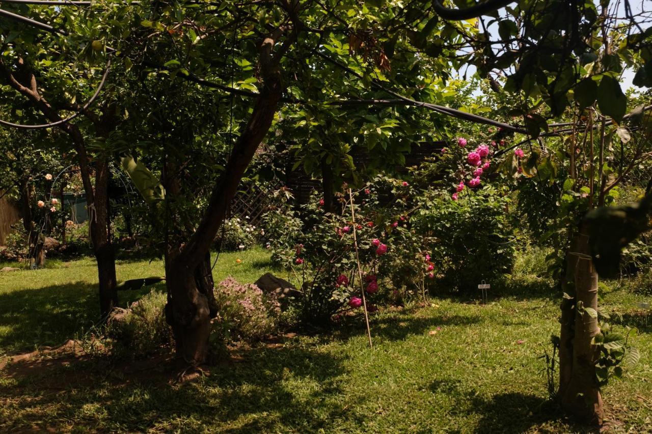 B&B Casanera Riposto Extérieur photo