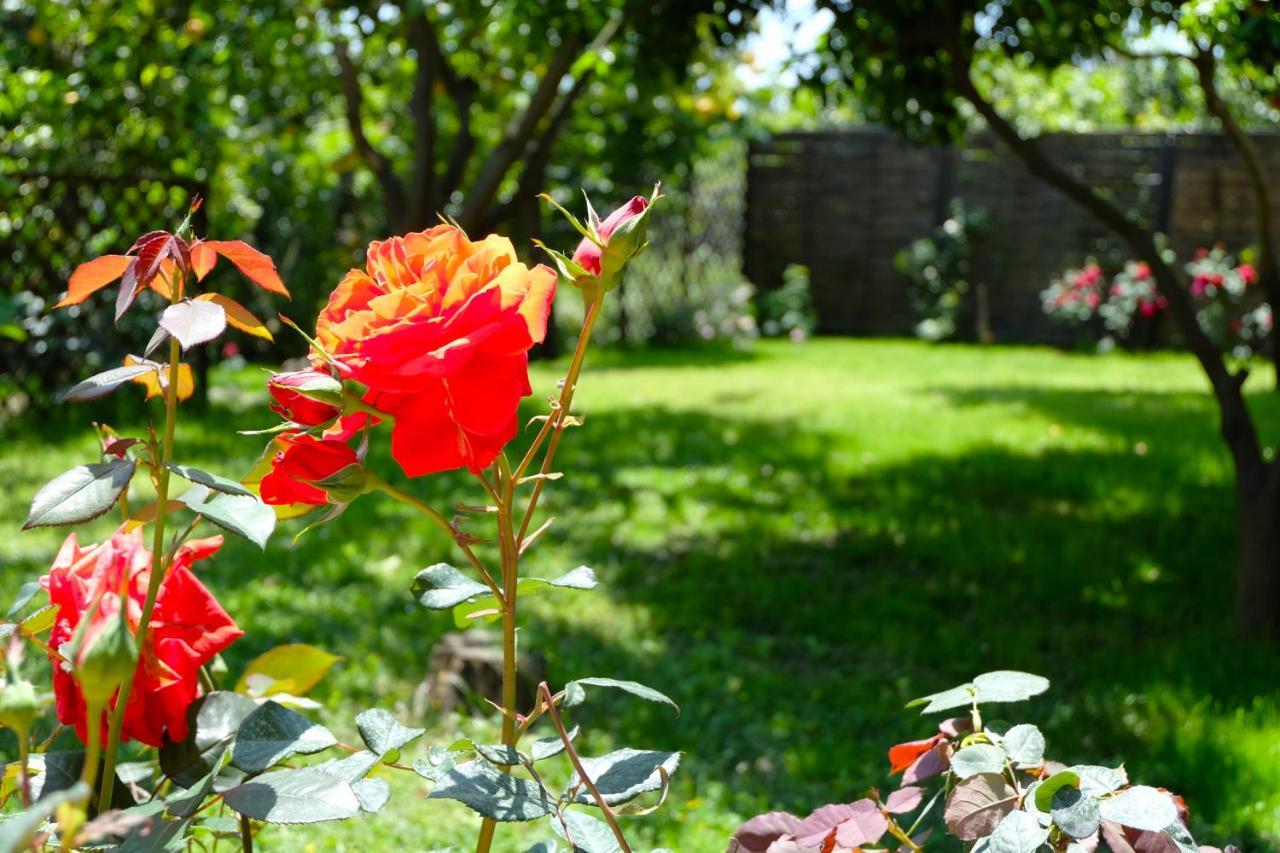 B&B Casanera Riposto Extérieur photo
